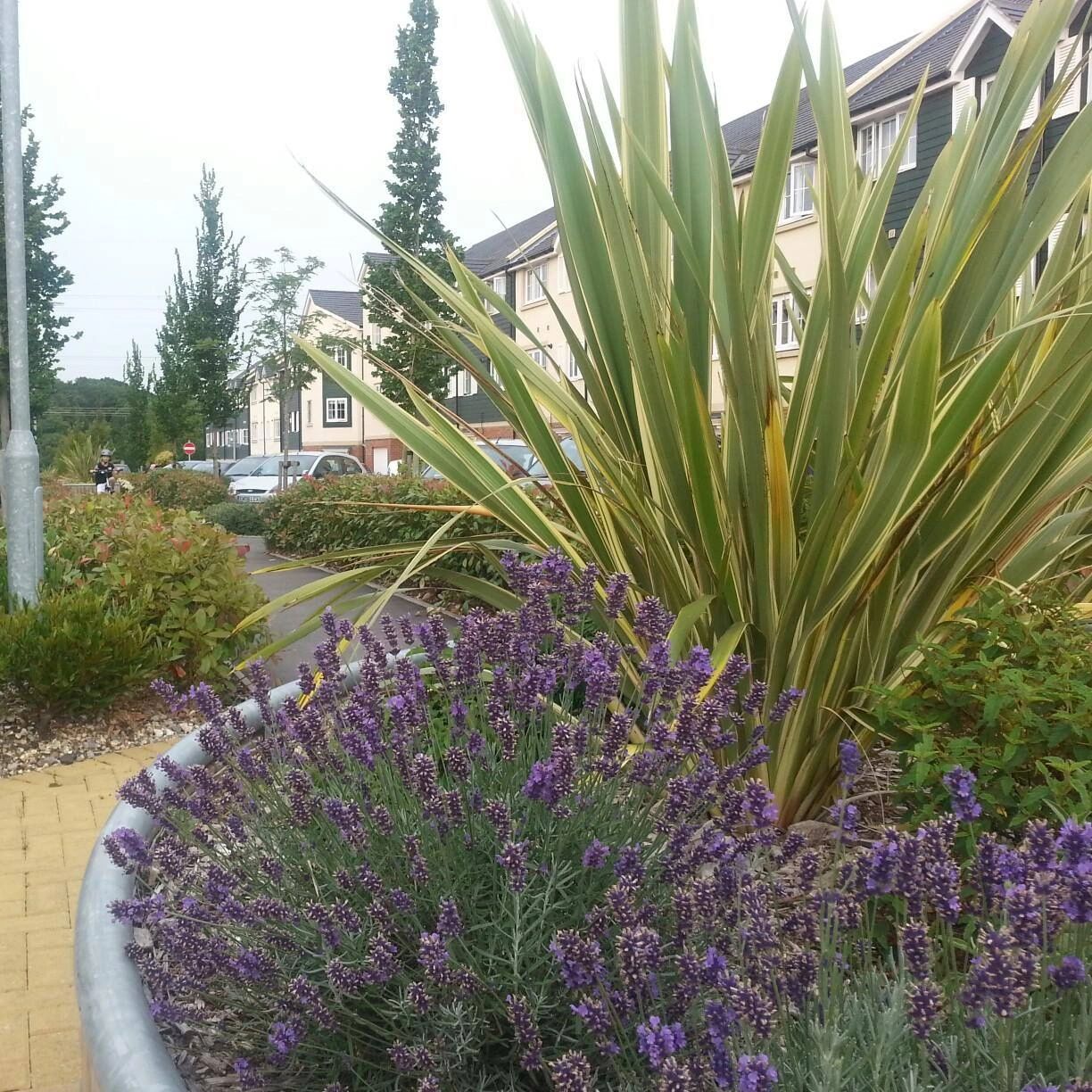 Hunts Pond Road Management